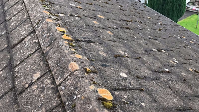 Roof Cleaning Swansea, Wales