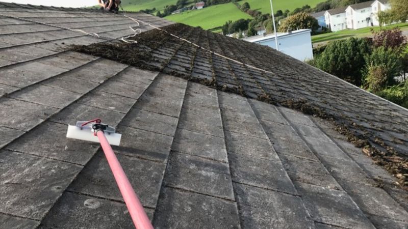 roof cleaning swansea