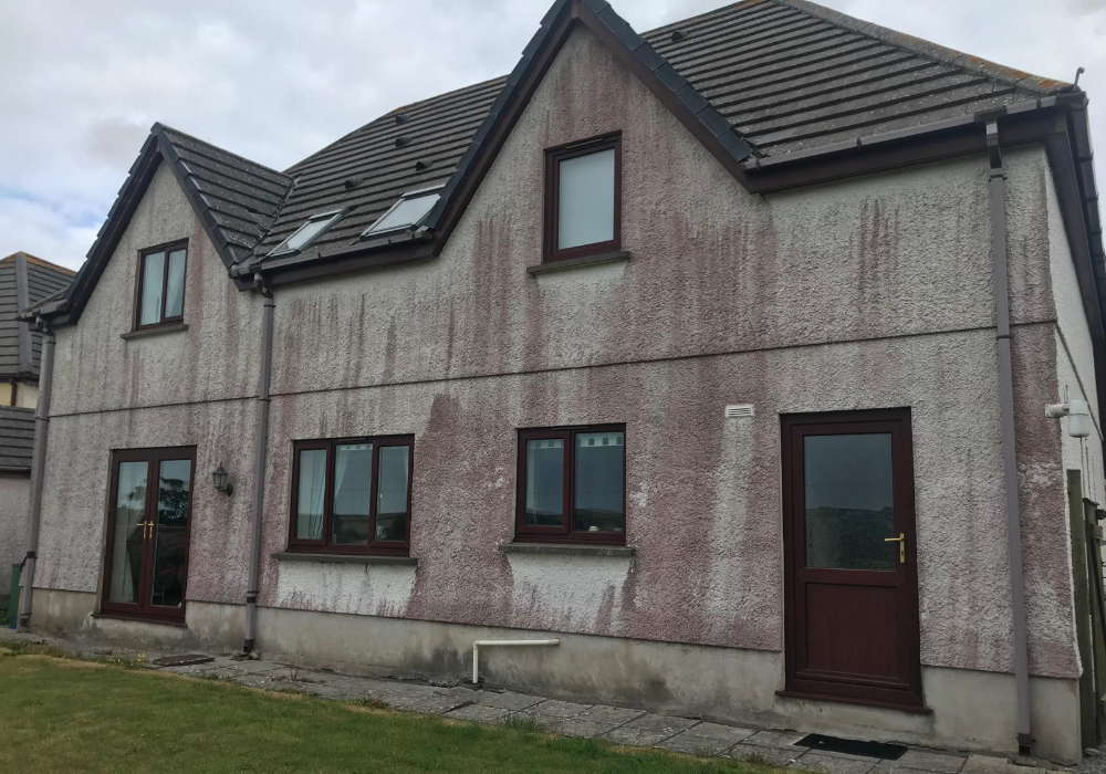 Softwashing Company Swansea South Wales